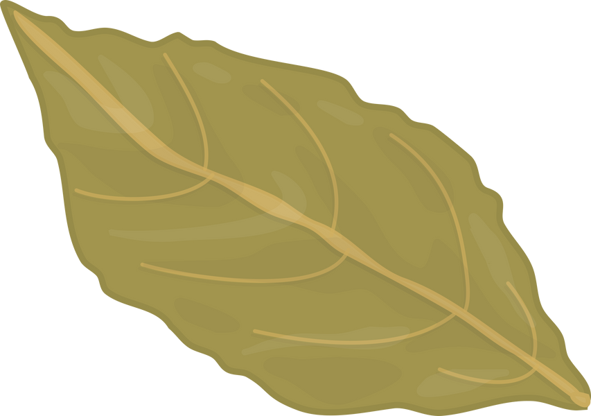 Bay Leaf Illustration